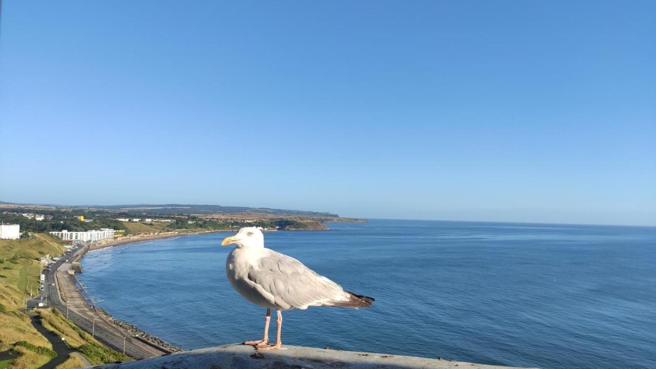 Ostello Areawest Scarborough Esterno foto